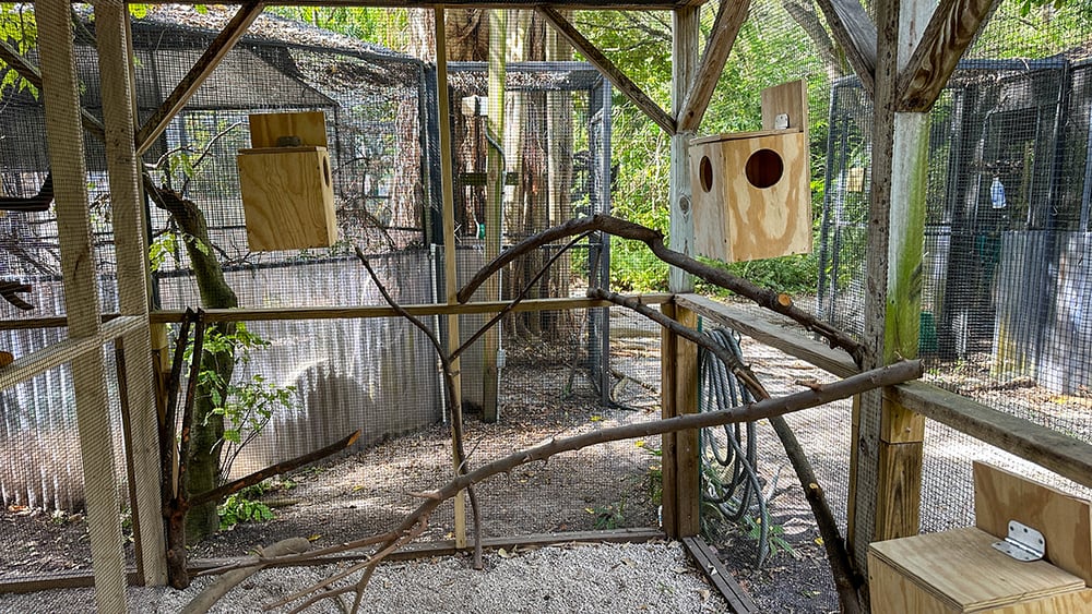 VS-Photograph_20231113_RR_SouthFloridaWildlifeCenter_SqE_001_©GGC copy